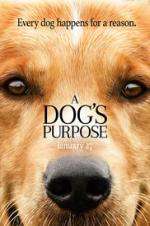 Watch A Dog's Purpose Xmovies8