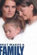 Watch What Makes a Family Xmovies8