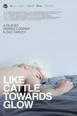 Watch Like Cattle Towards Glow Xmovies8