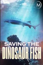 Watch Saving the Dinosaur Fish Xmovies8