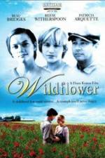 Watch Wildflower Xmovies8