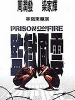 Watch Prison on Fire Xmovies8