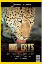 Watch National Geographic: Living With Big Cats Xmovies8