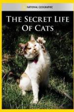 Watch National Geographic The Secret Life of Cats Xmovies8