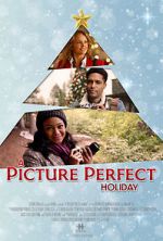 Watch A Picture Perfect Holiday Xmovies8