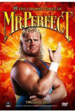 Watch The Life and Times of Mr Perfect Xmovies8