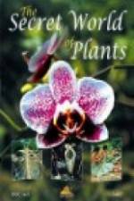 Watch The Secret World of Plants Xmovies8