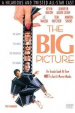 Watch The Big Picture Xmovies8