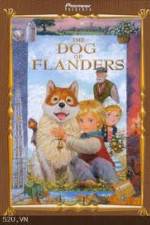 Watch The Dog of Flanders Xmovies8