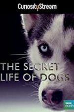 Watch Secret Life of Dogs Xmovies8