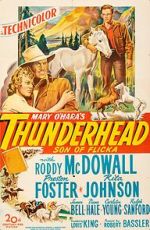 Watch Thunderhead: Son of Flicka Xmovies8