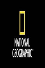 Watch National Geographic Wild Animal Attacks On Vacation Xmovies8