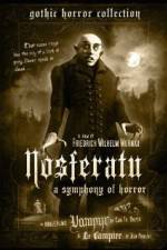 Watch Nosferatu Xmovies8