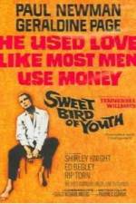 Watch Sweet Bird of Youth Xmovies8