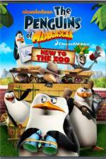 Watch Penguins of Madagascar New to the Zoo Xmovies8