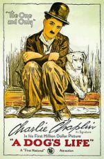 Watch A Dog's Life (Short 1918) Xmovies8