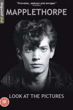 Watch Mapplethorpe: Look at the Pictures Xmovies8