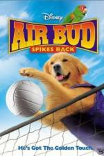 Watch Air Bud Spikes Back Xmovies8