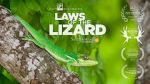Watch Laws of the Lizard Xmovies8