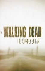 Watch The Walking Dead: The Journey So Far Xmovies8
