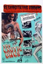 Watch The Exotic Ones Xmovies8