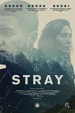 Watch Stray Xmovies8