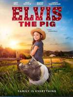 Watch Elvis the Pig Xmovies8