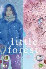 Watch Little Forest: Winter/Spring Xmovies8