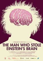 Watch The Man Who Stole Einstein\'s Brain Xmovies8