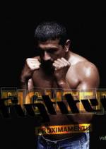 Watch Fighter Xmovies8