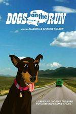 Watch Dogs on the Run Xmovies8