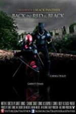 Watch Deadpool and the Black Panther Xmovies8