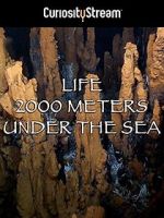 Watch Life 2,000 Meters Under the Sea Xmovies8