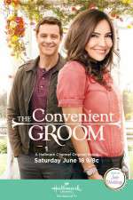 Watch The Convenient Groom Xmovies8