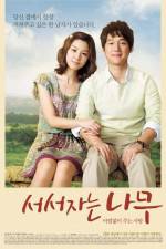 Watch Sleeping Tree Xmovies8