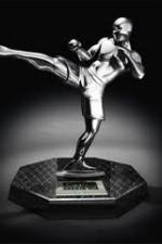 Watch World MMA Awards 2010 Xmovies8