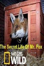 Watch The Secret Life of Mr. Fox Xmovies8