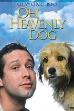 Watch Oh Heavenly Dog Xmovies8