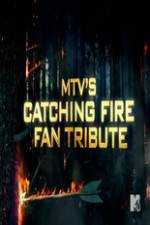 Watch MTV?s The Hunger Games: Catching Fire Fan Tribute Xmovies8