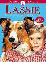 Watch Lassie: A New Beginning Xmovies8