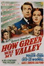 Watch How Green Was My Valley Xmovies8