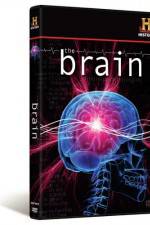 Watch The Brain Xmovies8