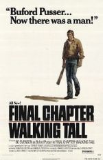 Watch Final Chapter: Walking Tall Xmovies8