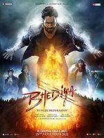 Watch Bhediya Xmovies8