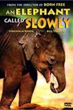 Watch An Elephant Called Slowly Xmovies8