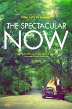 Watch The Spectacular Now Xmovies8