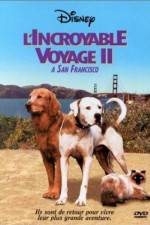 Watch Homeward Bound II Lost in San Francisco Xmovies8