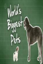 Watch World's Biggest Pets Xmovies8