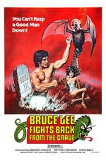 Watch Bruce Lee Fights Back from the Grave Xmovies8