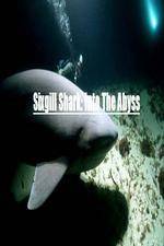 Watch National Geographic Wild Sixgill Shark Into The Abyss Xmovies8